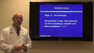 Treatment for Testicular Cancer Dr Mark S Litwin  UCLAMDChat [upl. by Kajdan]