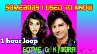 80s Remix Tronicbox quotSomebody That I Used To Knowquot Gotye 1 hour loop [upl. by Podvin]