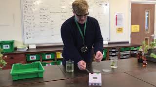 Testing for Starch in a leaf AQA GCSE required practical [upl. by Assenej]