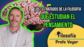 Tratados de la filosofía que estudian el pensamiento Lógica Gnoseología Epistemología [upl. by Akitnahs689]