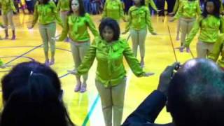 Beta Psi Chapter of Alpha Kappa Alpha Sorority Inc Fall 20 [upl. by Bordiuk150]