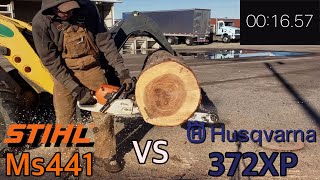 Stihl Ms441 vs Husqvarna 372xp Cutting Competition [upl. by Reiniar]