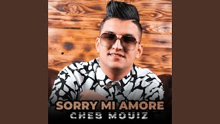 Sorry Mi Amore [upl. by Seleta]