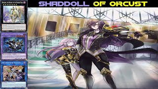 orcust shaddoll deck 2024yugioh master duel [upl. by Devon]