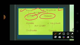 Protein metabolism Transamination reaction Transamination biochemistry [upl. by Ahtikal]