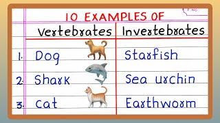 Name  Examples of VERTEBRATES AND INVERTEBRATES  5  10 List of VERTEBRATES AND INVERTEBRATES [upl. by Lubet]