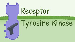 Receptor Tyrosine Kinase  MAPK Pathway [upl. by Seroled747]