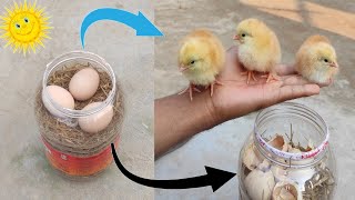 How to hatch eggs at home without incubator  Incubator plastic box help sunlight 100 result [upl. by Ennael]