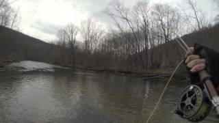 Delayed Harvest East Branch Clarion Rainbow [upl. by Vihs]