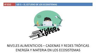 Ecosistemas niveles cadenas y redes tróficas Energía y materia en los ecosistemas [upl. by Sirahc]