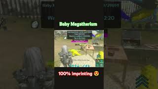 BABY MEGATHERIUM FULL IMPRINTING  ARK MOBILE  arksurvivalevolved arkmobile mythicxgaming ark [upl. by Eenattirb]