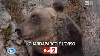 IL GUARDAPARCO E LORSO [upl. by Kram]