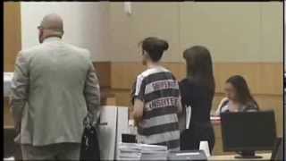 Jodi Arias Trial  Pretrial Hearing For Retrial Penalty Phase [upl. by Nnaira711]