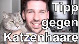 Katzen amp Hunde Haare Verhindern FURMINATOR [upl. by Hootman983]