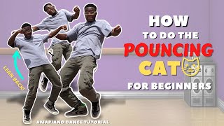 Amapiano Dance Tutorial  How to do the Pouncing Cat Dance  Beginners tutorial by Champion Rolie [upl. by Ecirtal]