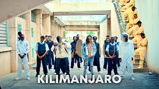 Dogo Janja amp Loui  Kilimanjaro Official Music Video [upl. by Eardnaed]