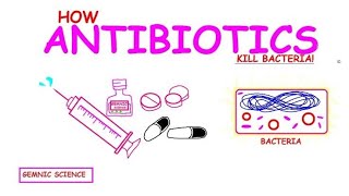 Antibiotics Explained How They Kill Bacteria and Fight Infectionsquot [upl. by Acirat303]