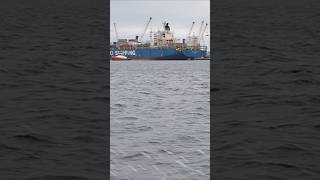 Busy Port of Napier Operations  Tug Boat Work naval vessel ports cargo containership [upl. by Gnouh]