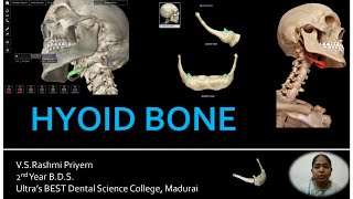 Hyoid Bone  Osteology  Location  Parts  Muscles amp Structures Attached  Development Ossification [upl. by Ahseia639]