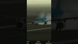 RFS real flight simulator cargo flight takeoff [upl. by Elehcim]