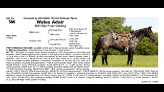 Pitzer Ranch Fall Sale 2024 Lot 580 WALES ADAIR [upl. by Chesney]