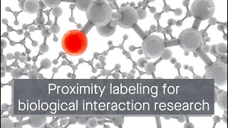 Proximity labeling A revolutionary technique for studying biological interactions [upl. by Lapo733]