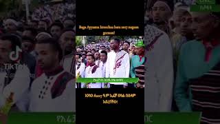 Baga Ayyaana Irreechaa bara 2017 nagaan geessan [upl. by Nnaylrebmik]