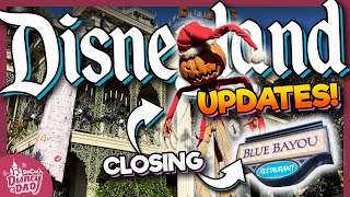 Disneyland Construction Updates amp Ride Closures JANUARY 2024 [upl. by Mehta422]