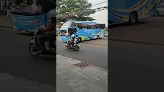 Daun kelor toga trans viralshort basuri viralvideo [upl. by Elenaj]