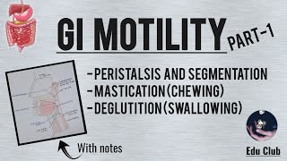 GI Motility Part  1  Chewing Reflex  Deglutition  Gastrointestinal Physiology [upl. by Lanaj]