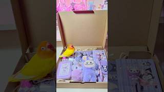 Kuromi amp Bird🦜📦 sanrio kuromi mymelody hellokitty cinnamoroll cute japan shorts asmr fyp [upl. by Aihsikal]