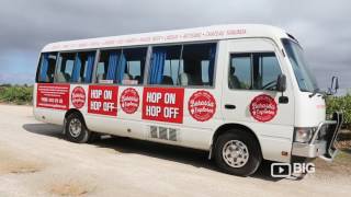 Barossa Explorer a Hop On Hop Off Bus in South Australias Wine Region [upl. by Lisha]