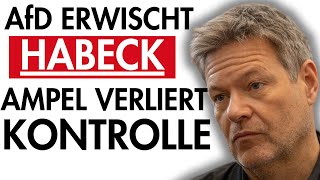 🚨Habeck zerstört die deutsche Autoindustrie Kann die AfD das noch stoppen🔥 [upl. by Nisior327]