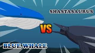 Blue Whale vs Shastasaurus  Dinosaurs vs Wild Animals S1  Animal Animation [upl. by Bortman316]