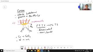 Review mineralogi dan alterasi greisen [upl. by Animaj]