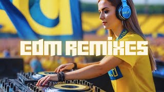 EDM Music Mix 2024 🎧 Remixes Of Popular Music  EDM Bass Boosted Music Mix [upl. by Elberfeld]