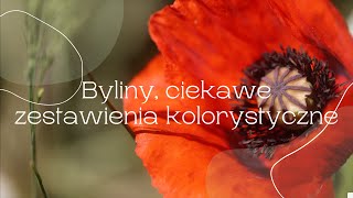 Byliny ciekawe połączenia kolorystyczne [upl. by Sakram]