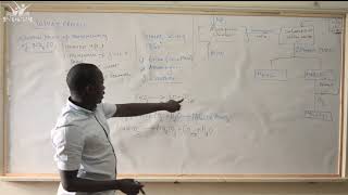 Chemistry SOLVAY PROCESS by Mr Ramadhan from The Nubian University Students Organization NUSO [upl. by Lunna]