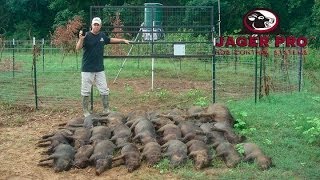 Wild Hog Trapping  17 MINE™ Trapping System before June Planting  JAGER PRO™ [upl. by Yllitnahc]