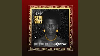 Best Of Seyi Vibez 20 Mixtape [upl. by Hindorff]