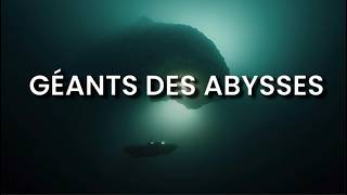 LE GIGANTISME des Abysses pourquoi les grands fonds engendrent des géants [upl. by Ahcatan]