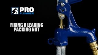 How To Adjust Leaking Pro Plumber Frost Proof Yard Hydrant Packing Nut [upl. by Aracaj]