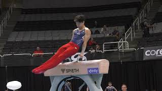 Xander Hong  Pommel Horse  2023 Xfinity US Championships  Junior Men Day 1 [upl. by Hallsy]