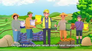 Pupuk Polysulphate [upl. by Emia]