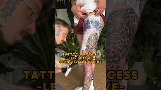 Leg Sleeve Tattoo  FROM STENCIL TO OUTLINE tattoo tattooartist viral [upl. by Reseda]