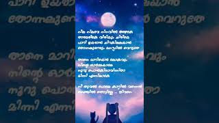 Nila nilave song lyrics  RDX  Kapil Kapilan  Shan Nigam  Mahima [upl. by Ajan]