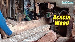 Sawmill Acacia Mangium [upl. by Midian]