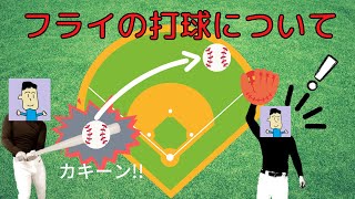 野球初心者でもわかるルール講座ー第10回目ーフライの打球 [upl. by Enelime]