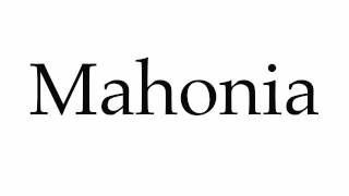 How to Pronounce Mahonia [upl. by Chilton]