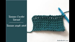 Tunisian Crochet Tutorial  How to make a Tunisian Simple Stitch  Right handed [upl. by Simmie]